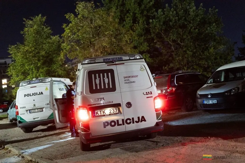 Ladrones golpean dura mina en una calle de Vilna: 12 autos vandalizados en una noche