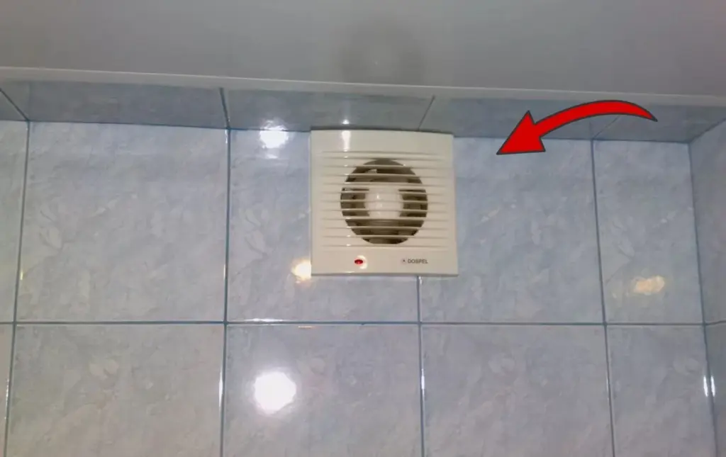 La ducha se seca como por arte de magia: 3 trucos para una baño impecable y funcional