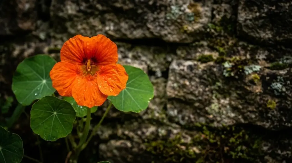 La planta que atrae aliados y repele plagas: el retorno triunfal de un tesoro para tu huerto en 2026