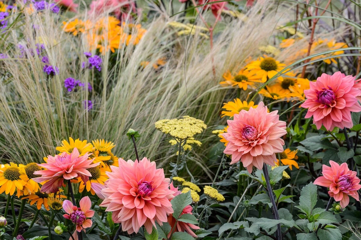 La planta que atrae aliados y repele plagas: el retorno triunfal de un tesoro para tu huerto en 2026 - image 1