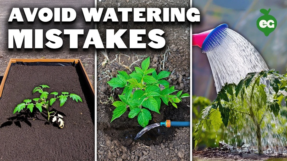 La única razón por la que tus plantas mueren: no son plagas ni corrientes de aire - image 1