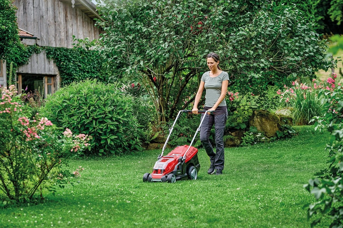 La ventana ideal para tu césped es corta: este gesto preciso lo salva antes de marzo - image 1
