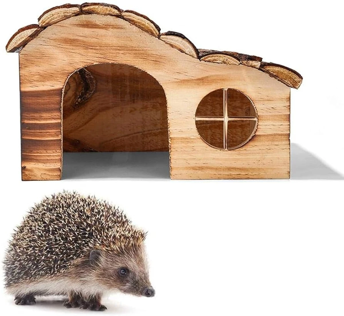 Lo que los alemanes hacen ahora para salvar a los erizos (y tú también puedes) - image 1