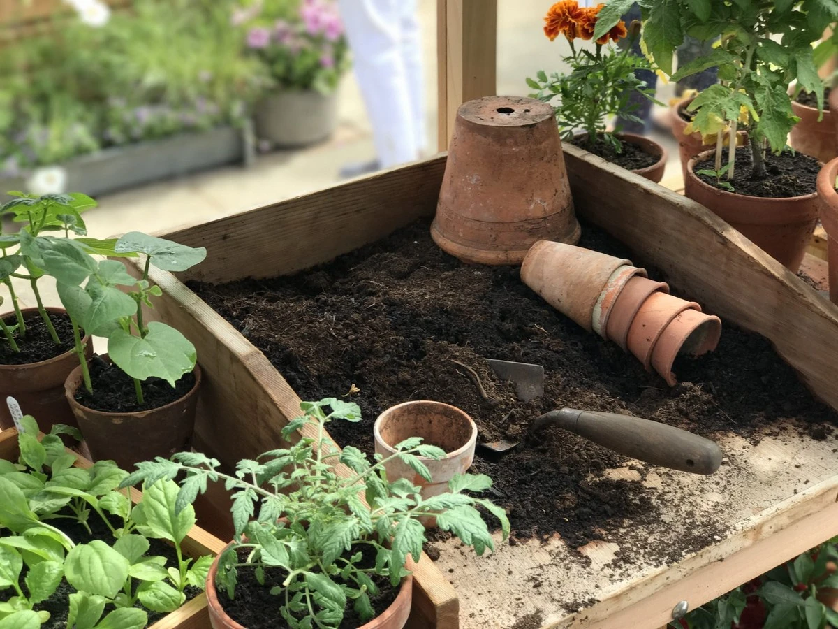 Mi jardín, sin rastro de plástico: La metamorfosis que mejoró mi huerto - image 1