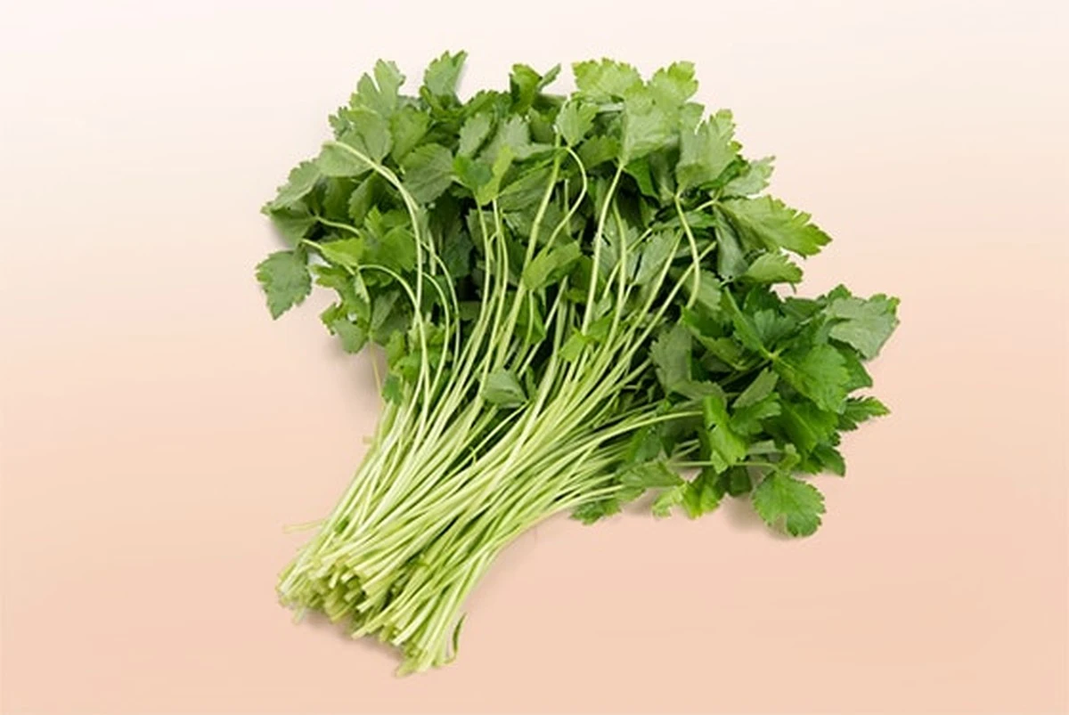 Mitsuba: la hierba aromática japonesa que prospera en tu jardín este invierno - image 1