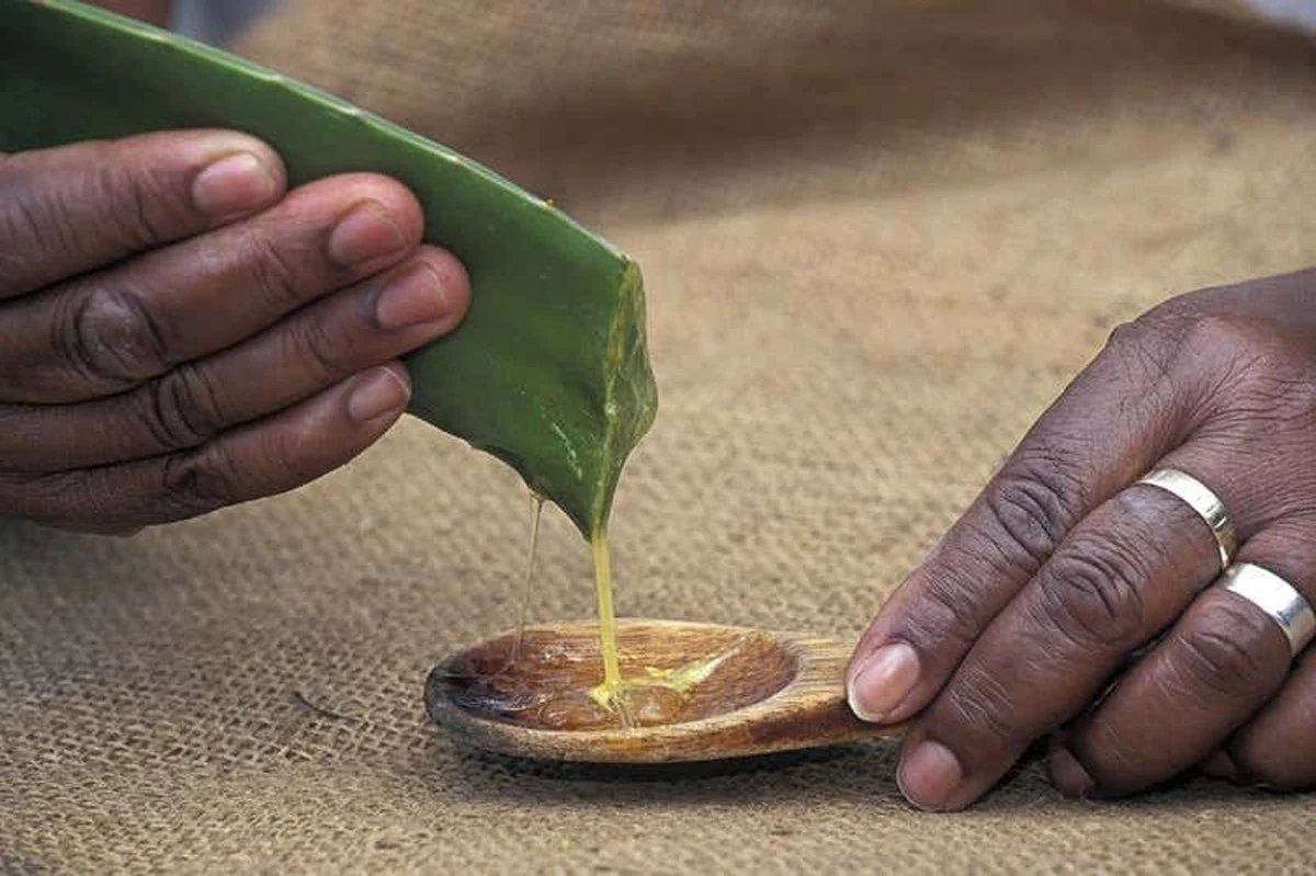 Mujer vence tumor uterino con remedio casero de 3 ingredientes - image 1