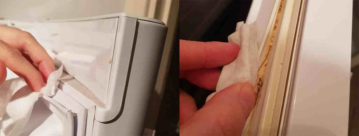 No descuides esta zona de tu nevera: mi truco trimestral que bajó mi factura eléctrica - image 1