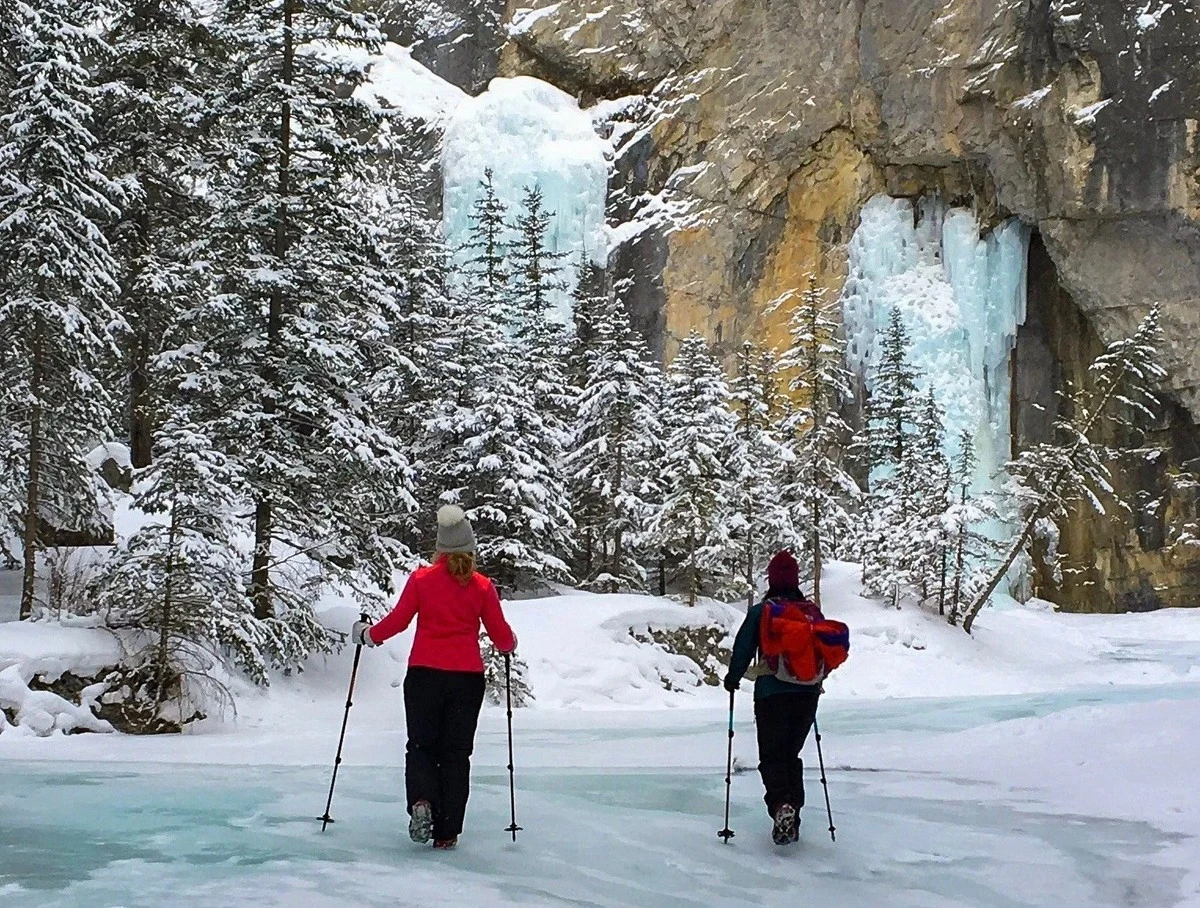 No más caídas en el hielo: el truco de dos piezas que te hace caminar como patinadora - image 1