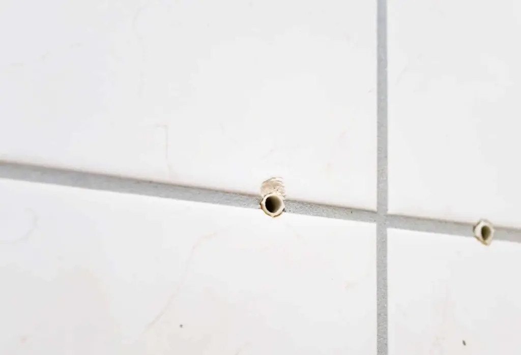 No Tires Tu Serrín: Repara Agujeros de Tacos Mejor que con Yeso Mezclándolo con Cola Blanca