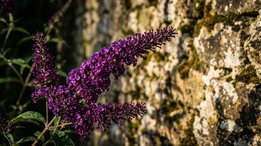 Olvida las flores complicadas: este arbusto es suficiente para deleitar a los polinizadores en primavera