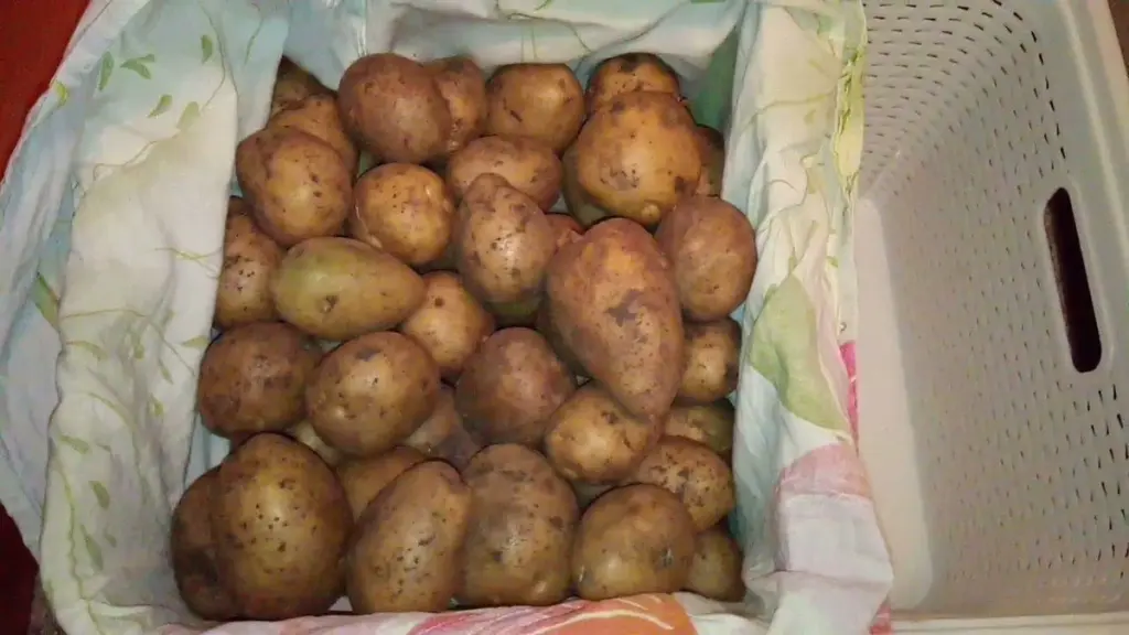Patatas frescas hasta la primavera: dos claves para guardarlas en casa sin que germinen