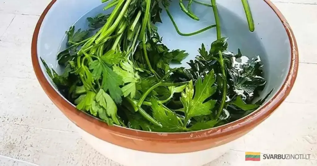 Petroselios frescas por un mes: el truco de chef que pocos conocen