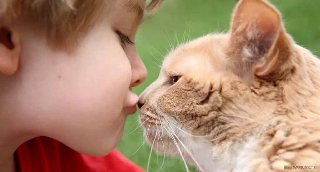 Por qué besar a tu mascota podría ser un error que te enferma