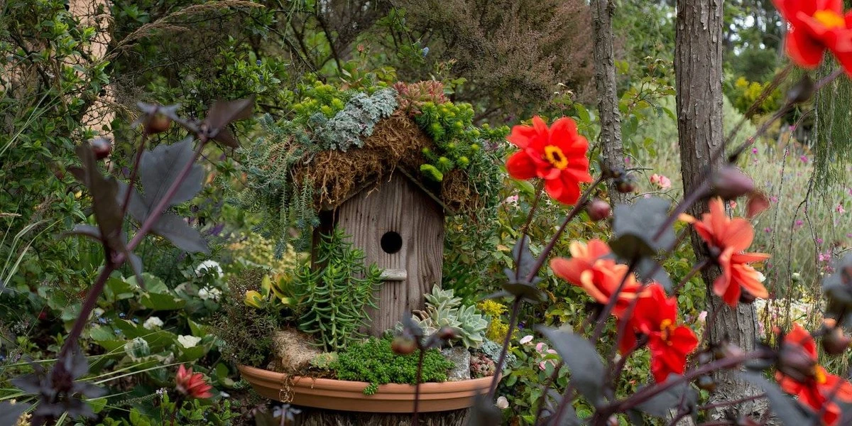 Por qué instalar el nido de pájaros demasiado pronto les aleja: el error que muchos jardineros cometen - image 1