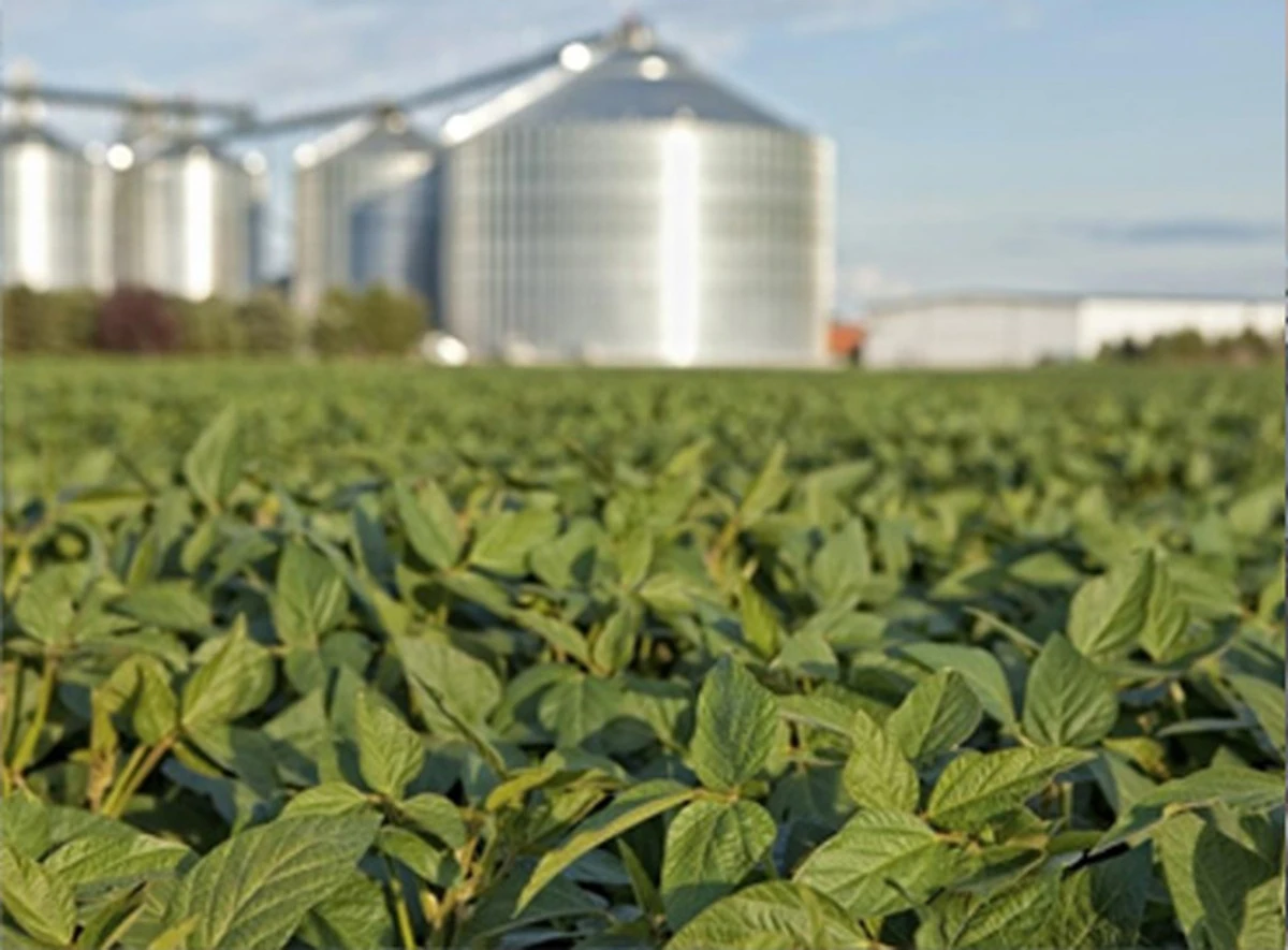 ¿Por qué los expertos en fertilizantes guardan cáscaras de patata en sus almacenes? - image 1