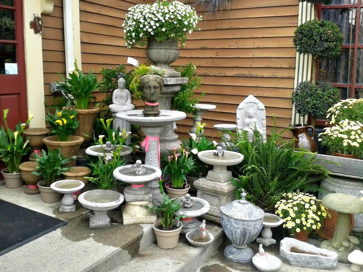 Por qué los pájaros evitan tu jardín (y el truco para que vuelvan) - image 1