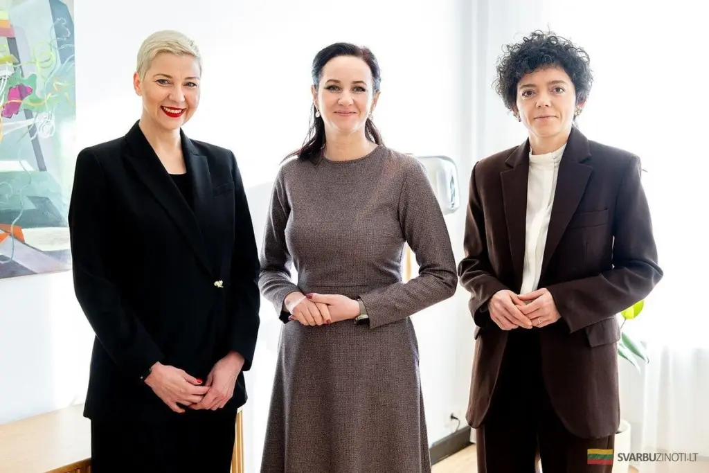 ¿Por qué los políticos lituanos se niegan a "jugar" con la propuesta de reabrir lazos con Bielorrusia?