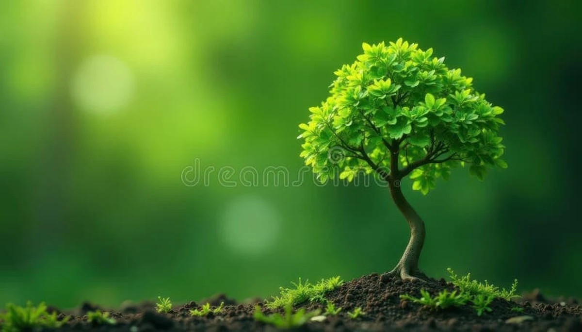 Protege tus árboles frutales jóvenes del frío extremo: haz esto ahora - image 1