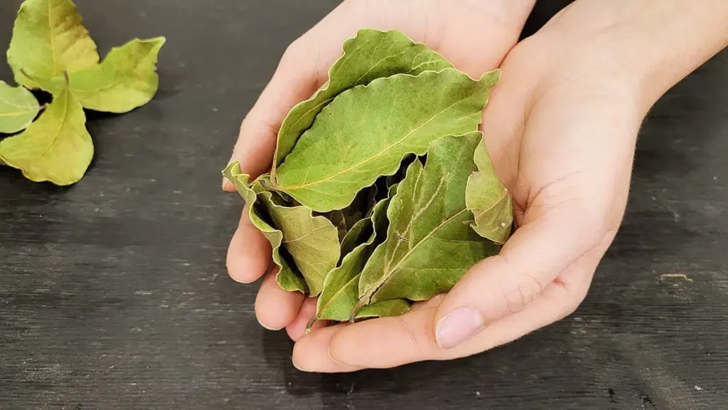 Quema una hoja de laurel y soluciona 4 problemas comunes en casa