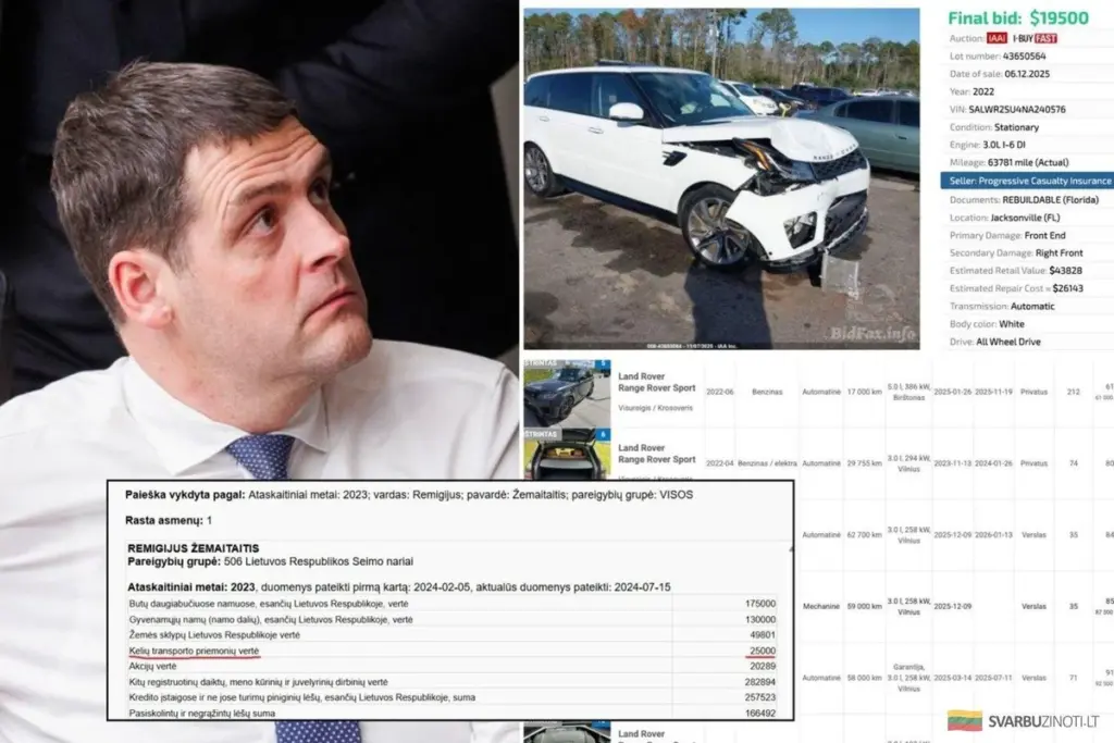Remigio Žemaitaičio: ¿Cómo obtuvo una prestación por desempleo mientras alquilaba un coche a su partido?