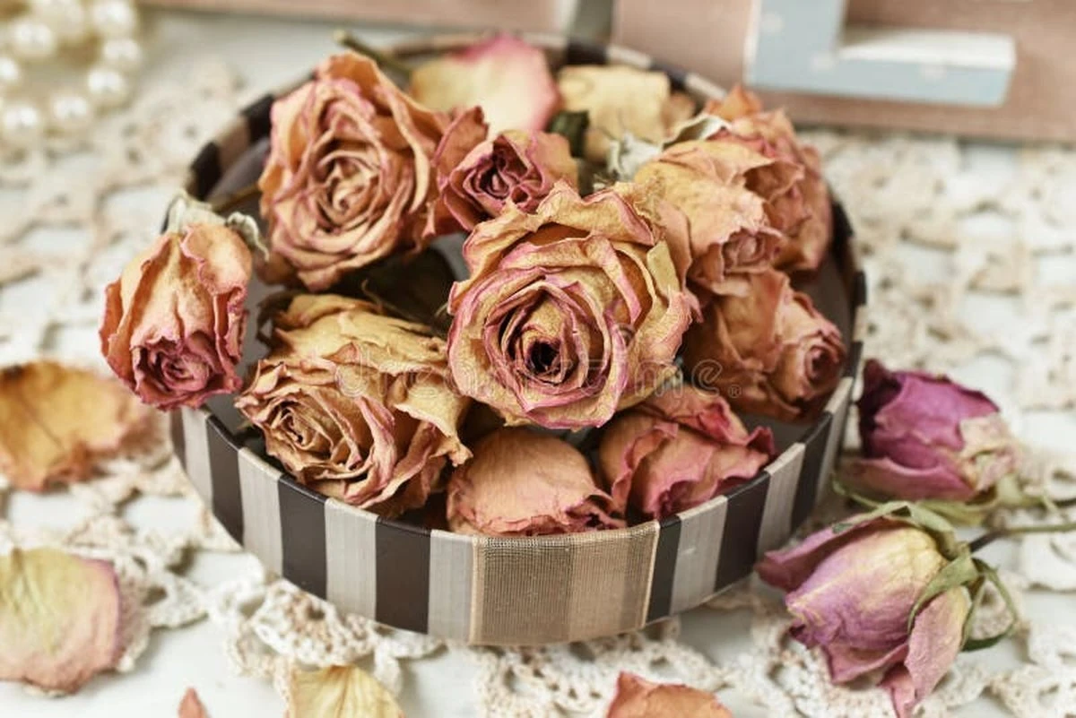 Renueva tu hogar post-San Valentín: 5 usos insospechados de las rosas marchitas - image 1