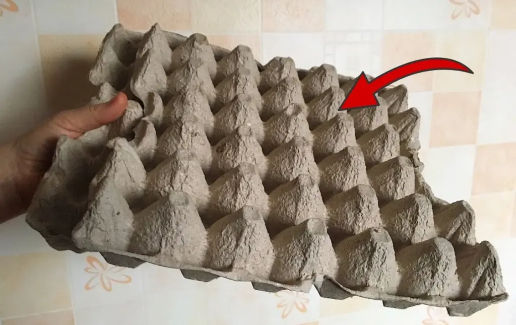 Reutiliza tus hueveras: 5 trucos geniales que te ahorrarán dinero