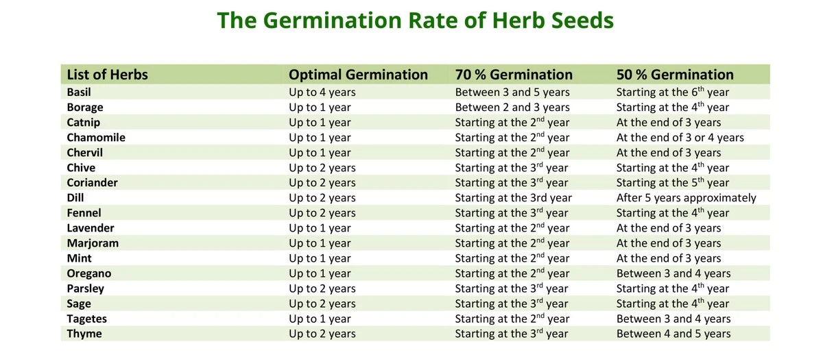Sembrar pronto o tarde: la fecha clave que un huerto exitoso no puede ignorar - image 1