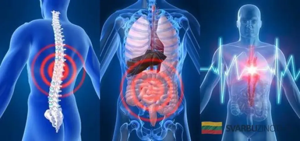 Señales de tu cuerpo que no debes ignorar