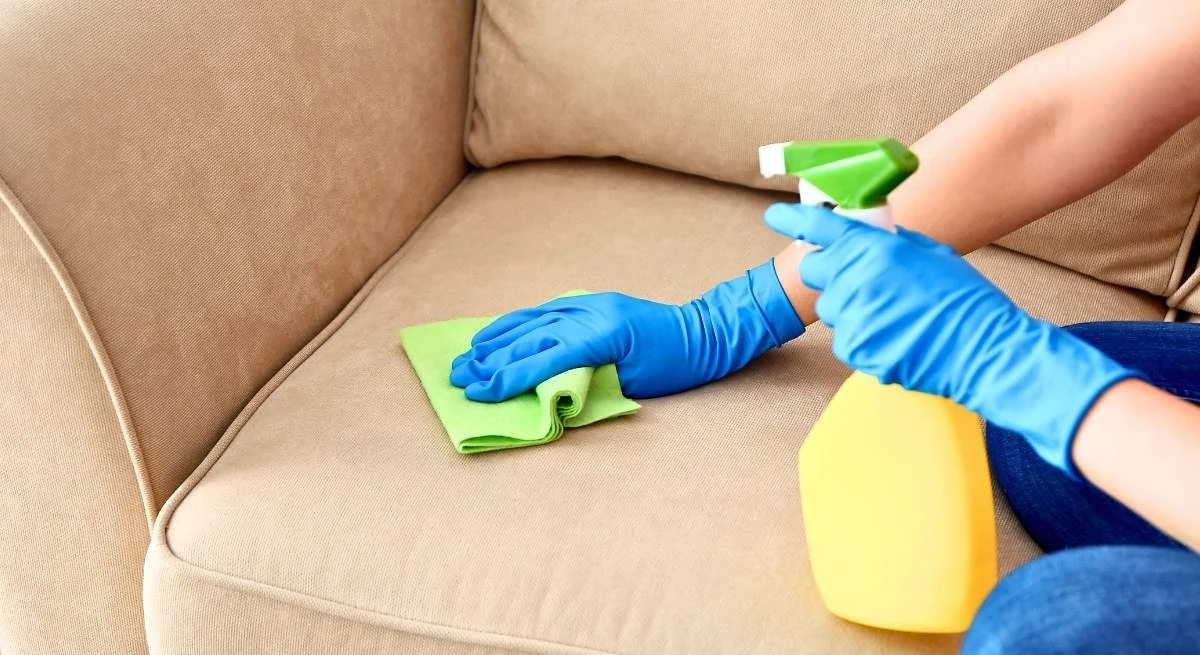 Tu sofá como nuevo: este truco lo devuelven la vida en una sola pasada - image 1