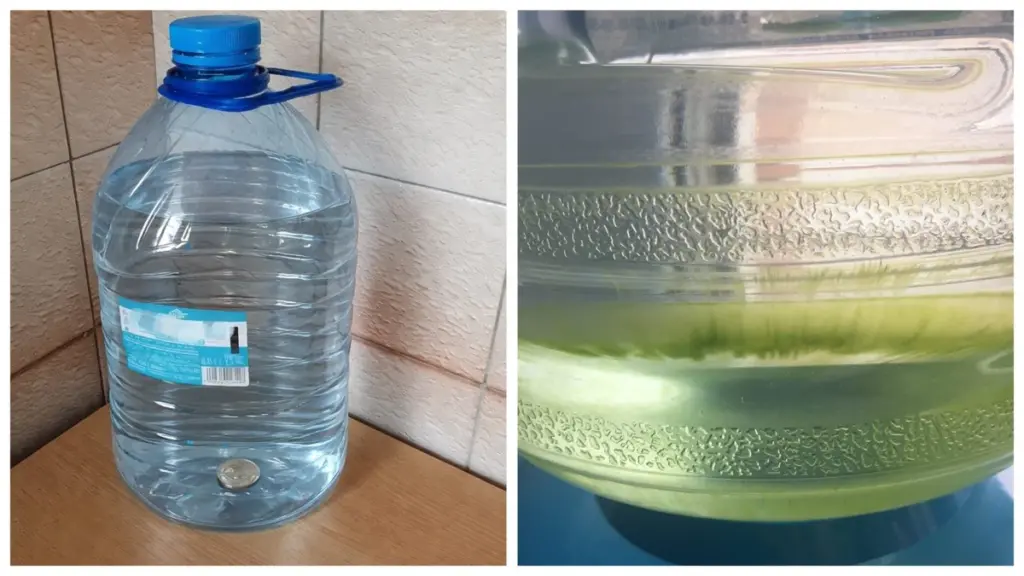 Una moneda de plata en tu botella: el secreto para que el agua se mantenga pura meses