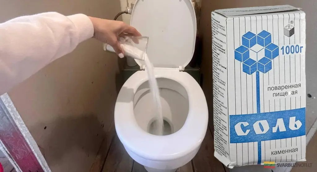 Una pizca de sal en el inodoro: el truco casero que lo dejará reluciente