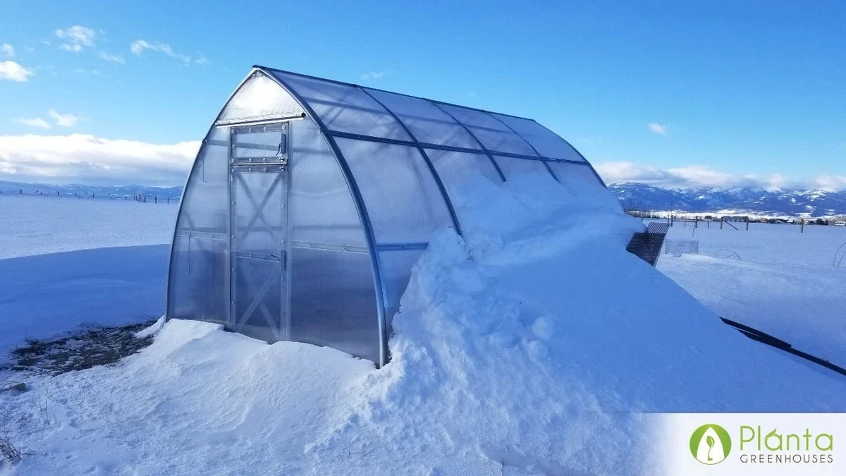 Un trozo de poliestireno esconde el secreto de un invernadero cálido en invierno - image 1