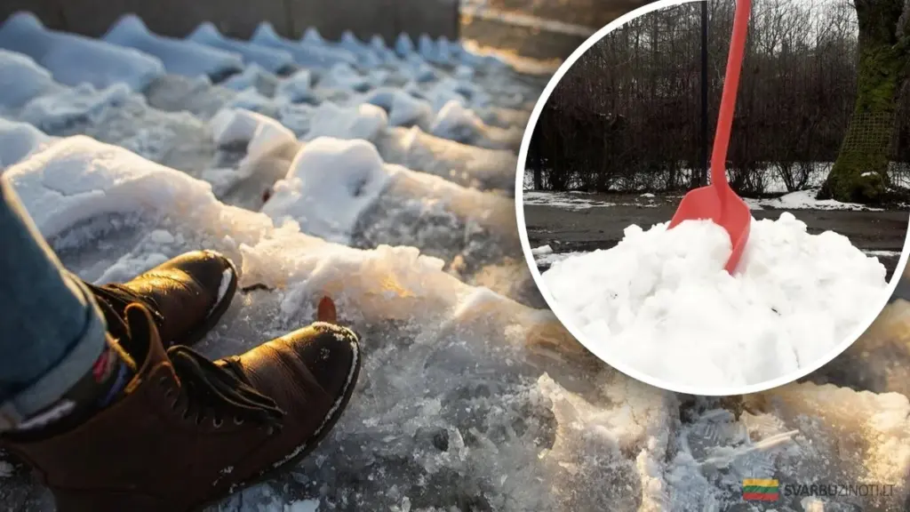 Ureá: el secreto de jardineros para derretir el hielo en minutos