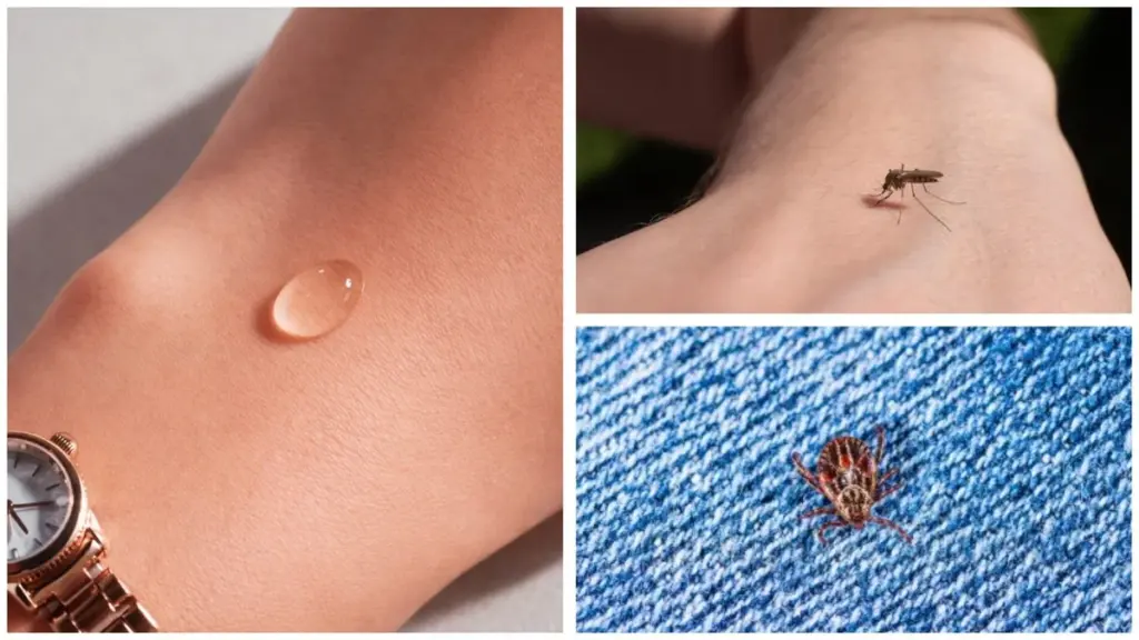 2 gotas bastan: adiós a garrapatas y mosquitos en tu ropa