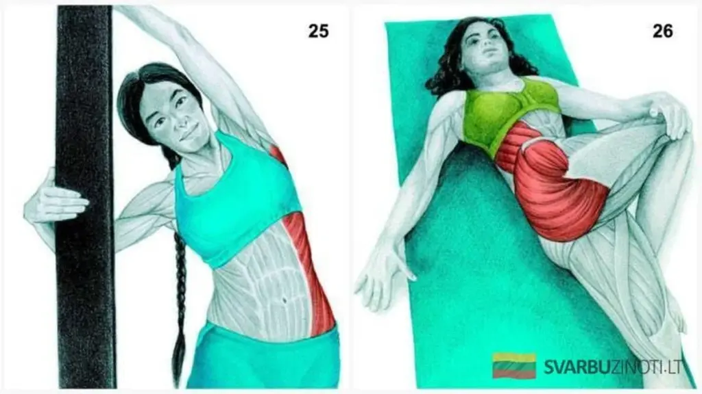 34 ejercicios de estiramiento que te darán un cuerpo nuevo