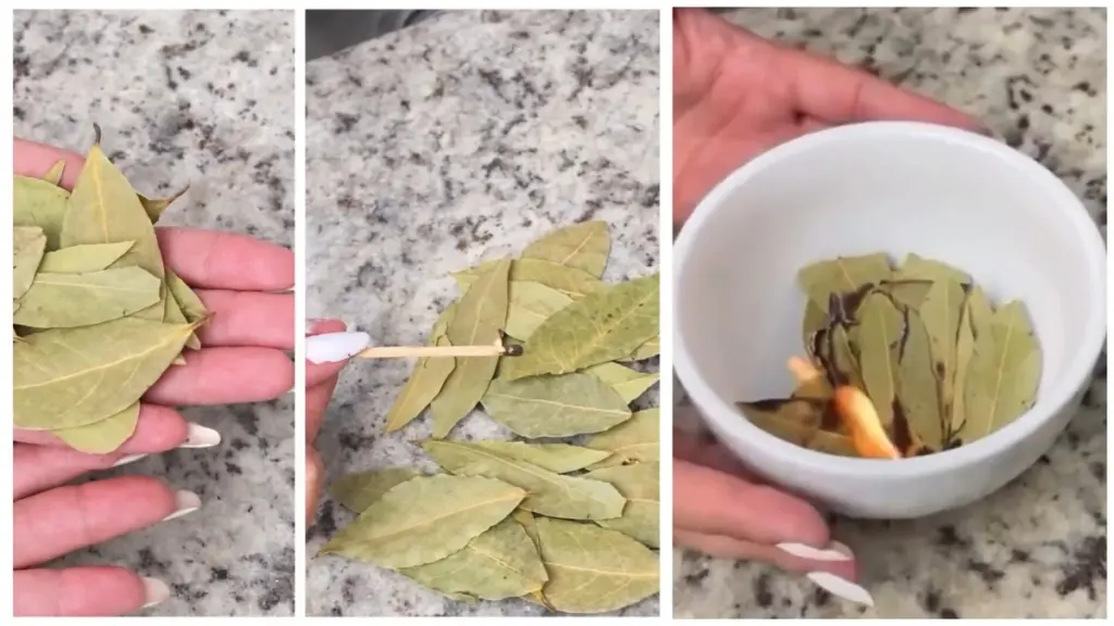 4 días clave en marzo para renovar tu vida: quema hojas de laurel y atrae la fortuna