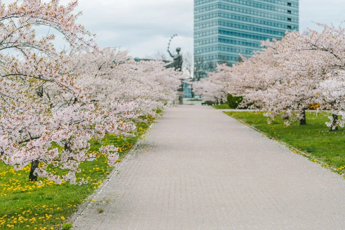 5 actividades en Lituania que no te puedes perder esta primavera - image 1