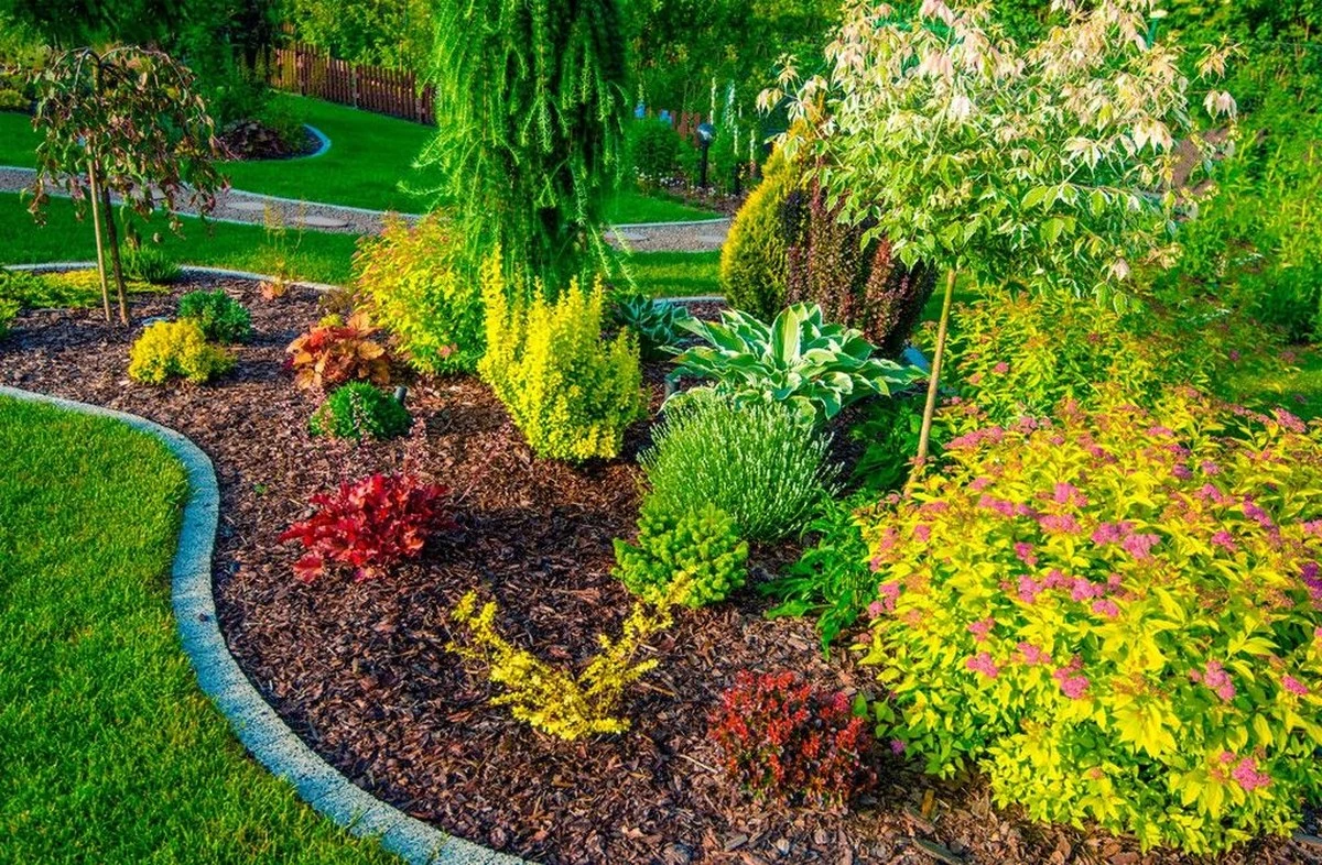 9 plantas perennes que riegas solo una vez: adiós a la jardinería diaria - image 1