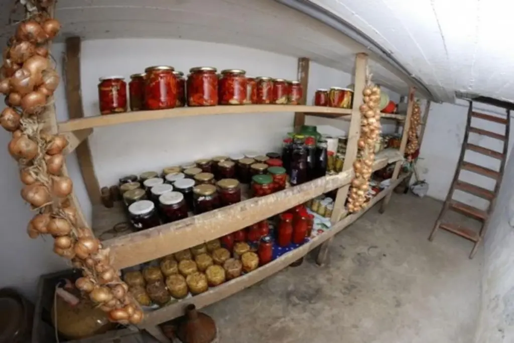 Adiós a la Humedad en tu Bodega: El Secreto de la Cal que Revive tus Verduras