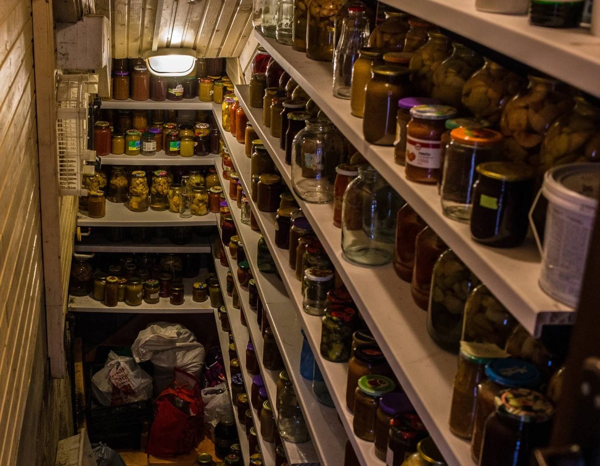 Adiós a la Humedad en tu Bodega: El Secreto de la Cal que Revive tus Verduras - image 1