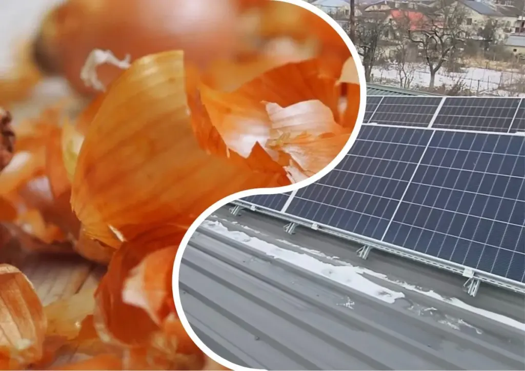 Cáscara de cebolla en el techo: el truco de mi cuñado para proteger paneles solares
