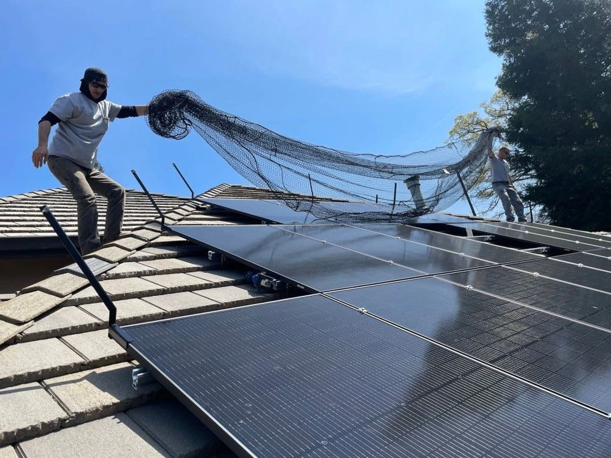Cáscara de cebolla en el techo: el truco de mi cuñado para proteger paneles solares - image 1