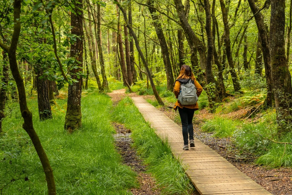 Cinco razones por las que todos deberían pasar más tiempo al aire libre - image 1