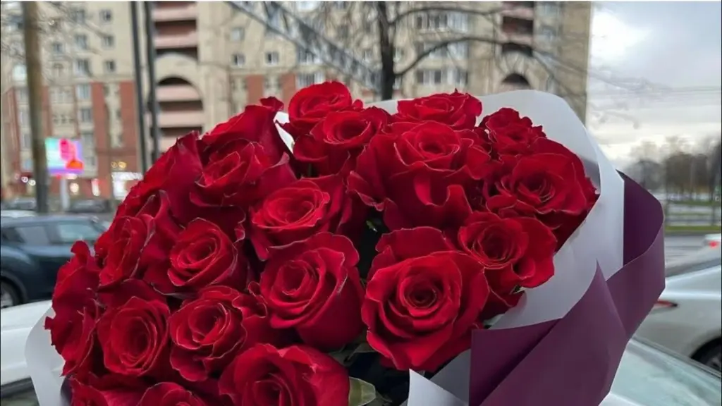 Cuidado con los ramos de flores: plagas peligrosas que pueden arruinar tus plantas en casa