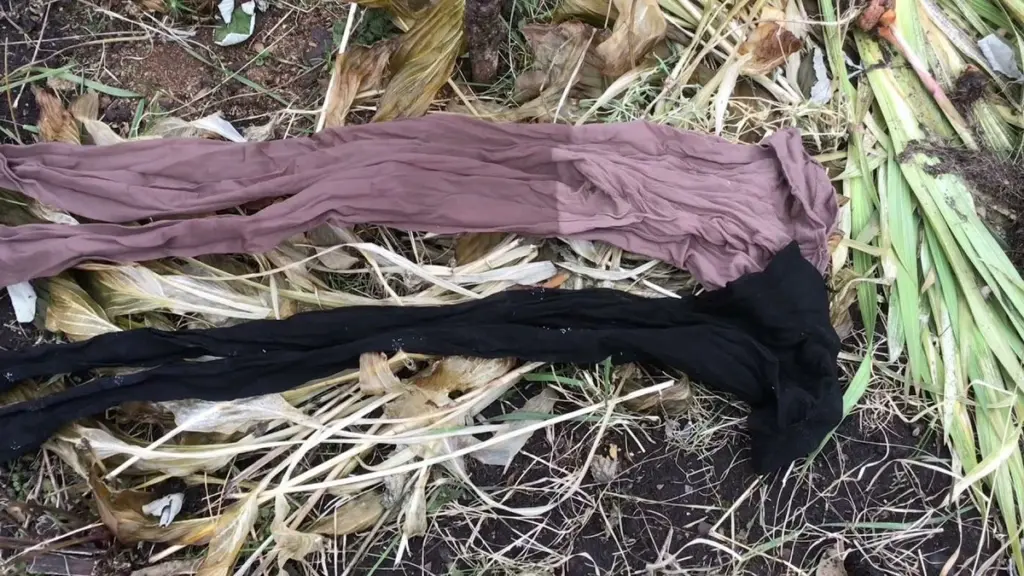 Da una segunda vida a tus viejas medias: 6 trucos geniales para tu huerto