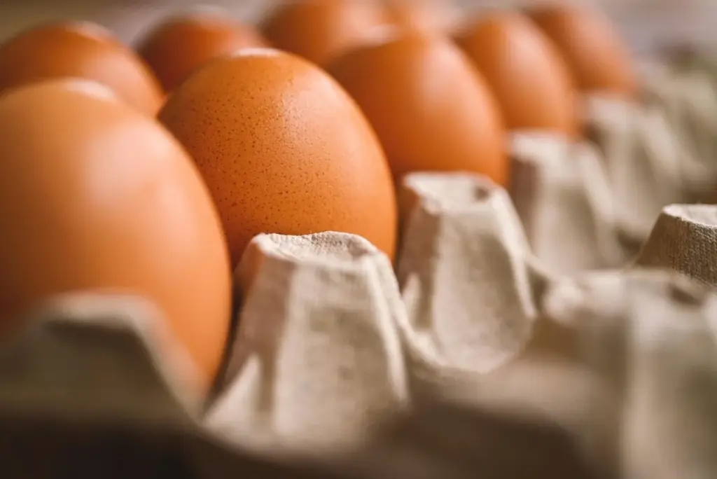 Descubre los 3 tiempos de conservación de huevos que cambian tu cocina