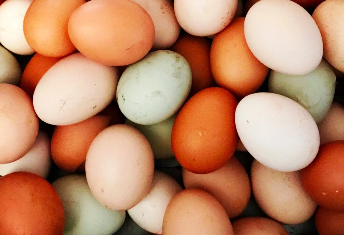 Descubre los 3 tiempos de conservación de huevos que cambian tu cocina - image 1