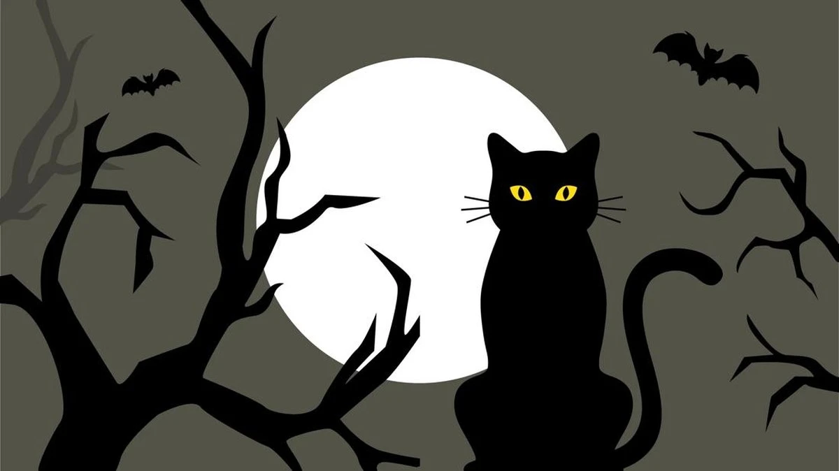 El rincón de la mesa, la sal y el gato negro: ¿tradiciones o miedos con fundamento? - image 1