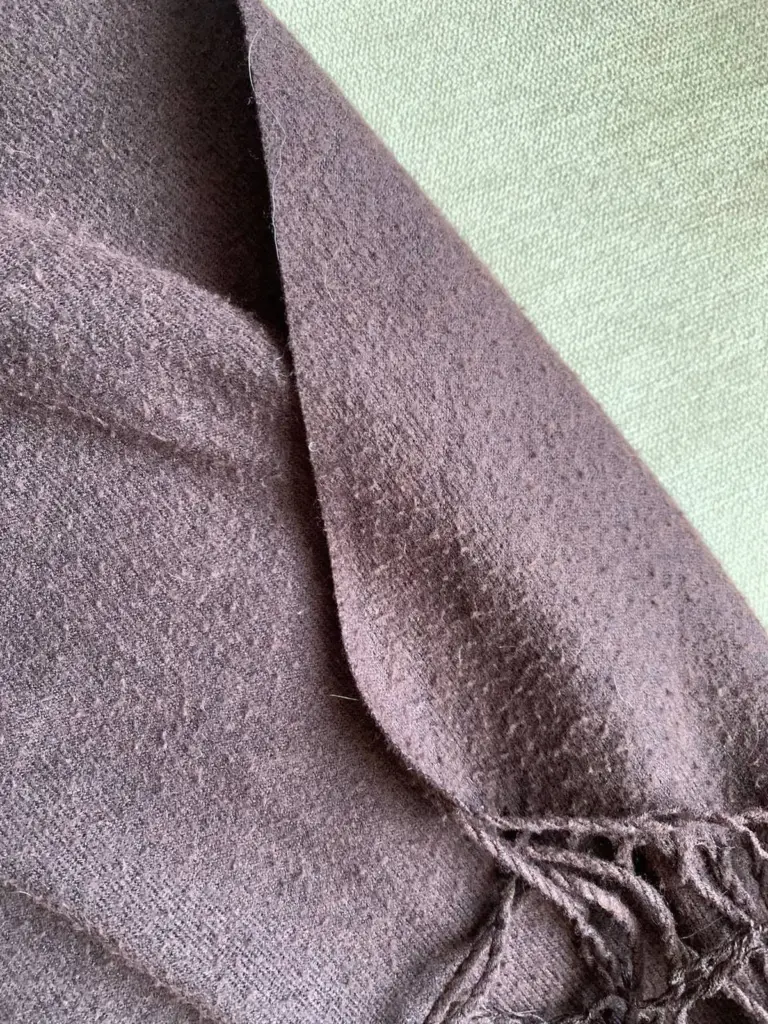 El secreto de los jardineros: cómo revitalizar tus frambuesas tras el invierno