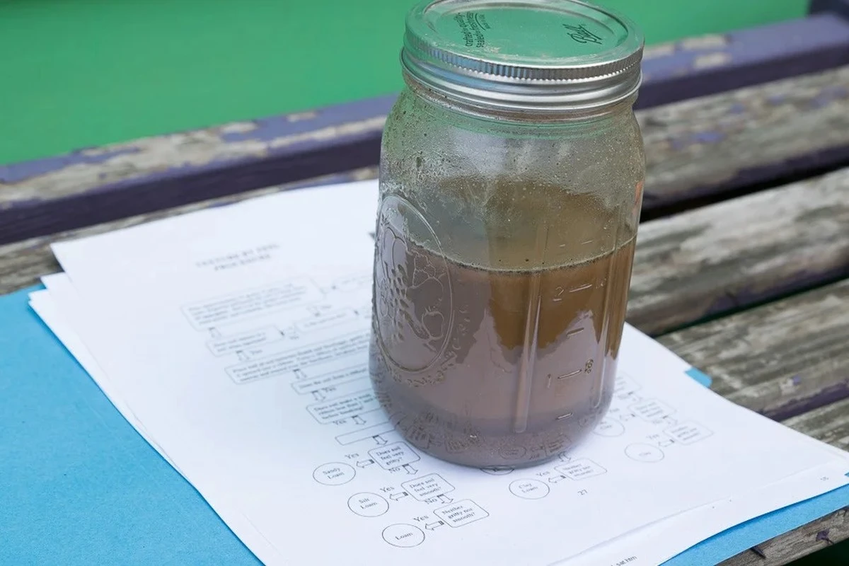 El sencillo truco del tarro que revela por qué tu jardín se encharca - image 1